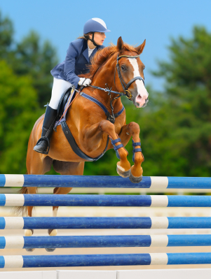 Equestrian sport: show jumping / young woman and sorrel stallion